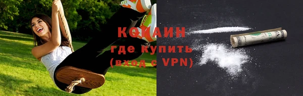 шишки Баксан