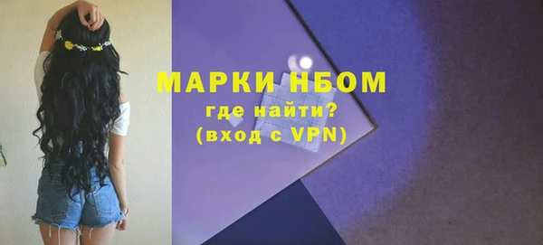 шишки Белоозёрский