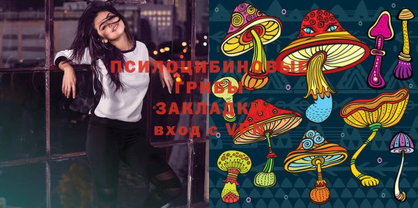 Альфа ПВП Белокуриха