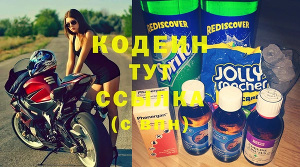 шишки Белоозёрский