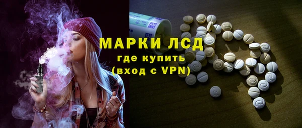 шишки Белоозёрский